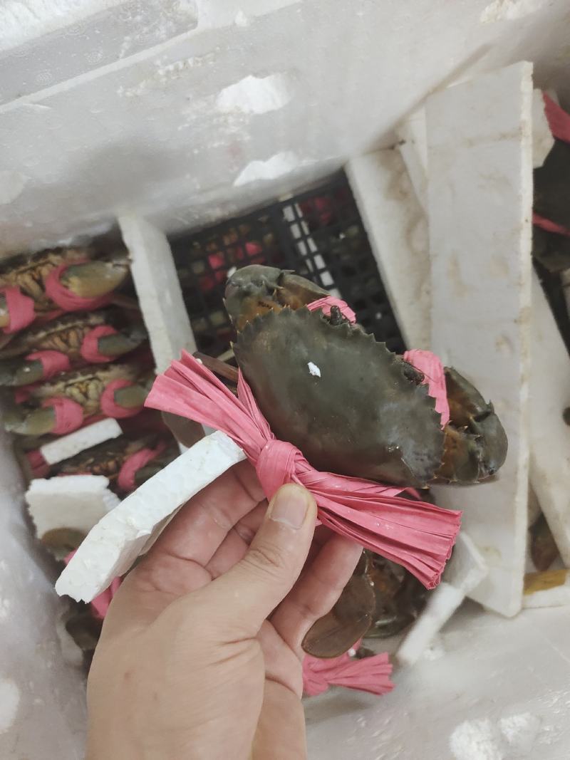 各种规格齐全，可对接酒店，火锅店
