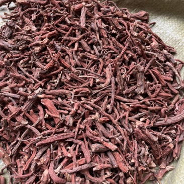 出售山东丹参段红货含量高