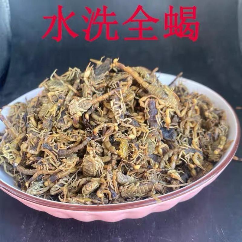 水洗全蝎入药泡酒都可以全蝎产地直发对接药店药厂欢迎全国药