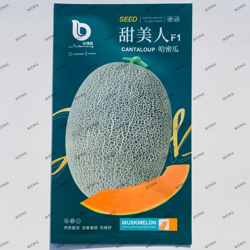 甜美人F1哈密瓜种子奶香为西州蜜瓜网纹黄肉哈密瓜大香瓜