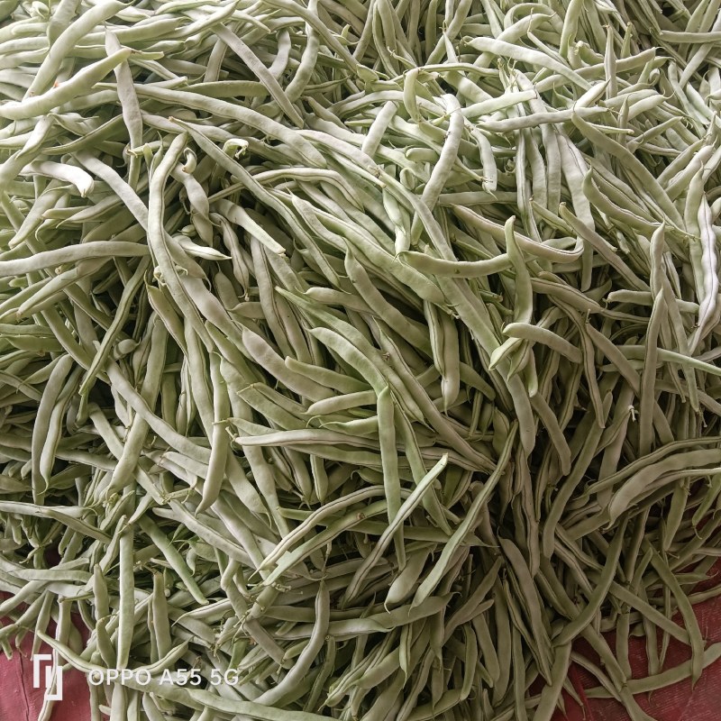 白不老大量上市中，产地直发