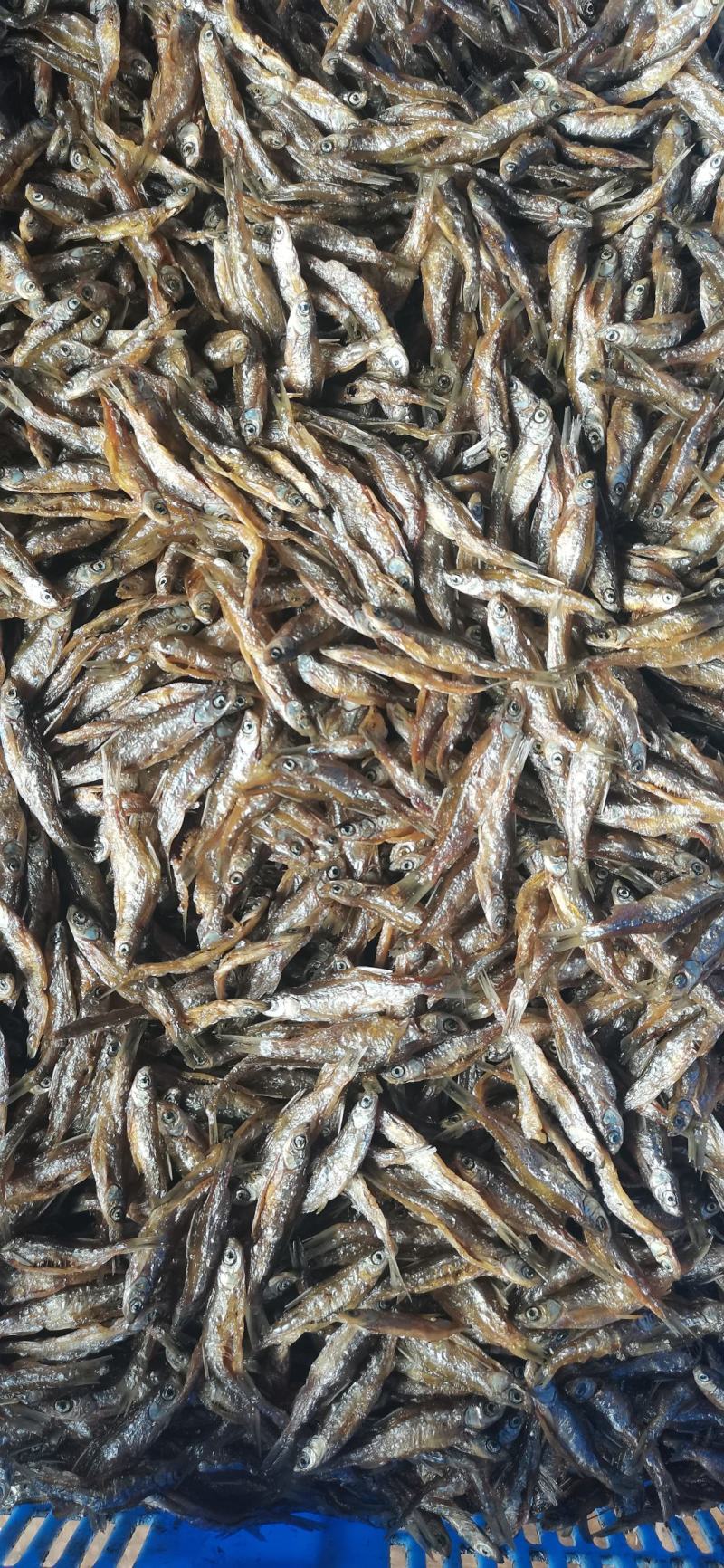 油炸开肚纯小白条，油炸小白条，油炸鱼，精品猫鱼。