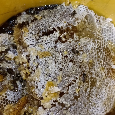 蜂蜜