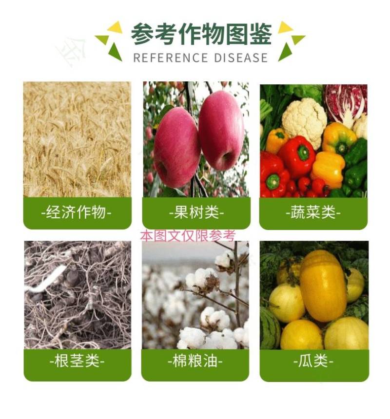 毅植40%苯甲吡唑酯苯醚甲环唑葡萄黑斑白粉炭疽病杀菌剂