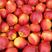 （价格低）油桃毛桃品种齐全产地直发对接市场电商