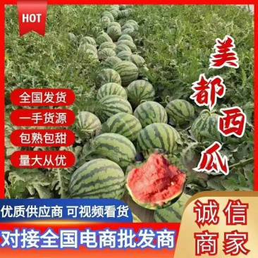 精品美都，大红瓤小薄皮，保质保量代发全国一条龙服务