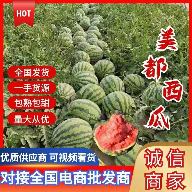 精品美都，大红瓤小薄皮，保质保量代发全国一条龙服务