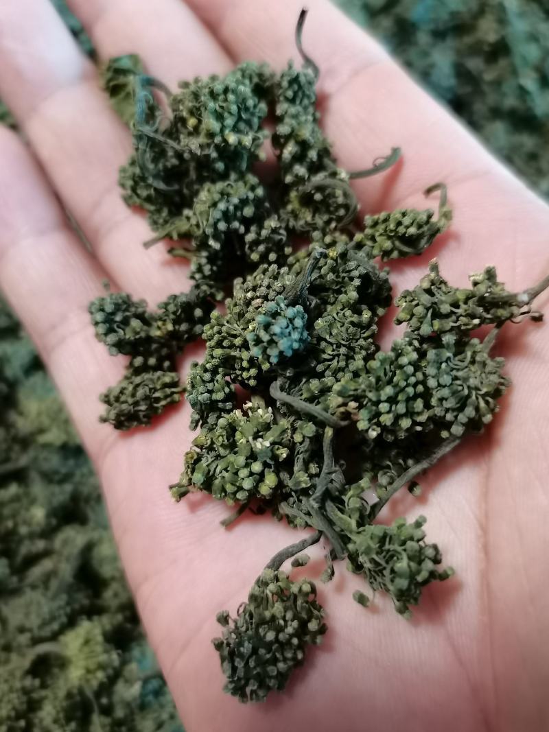 人参花，长白山人参花，六年参花，品质好货