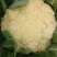 花叶菜，白面青梗有机花菜