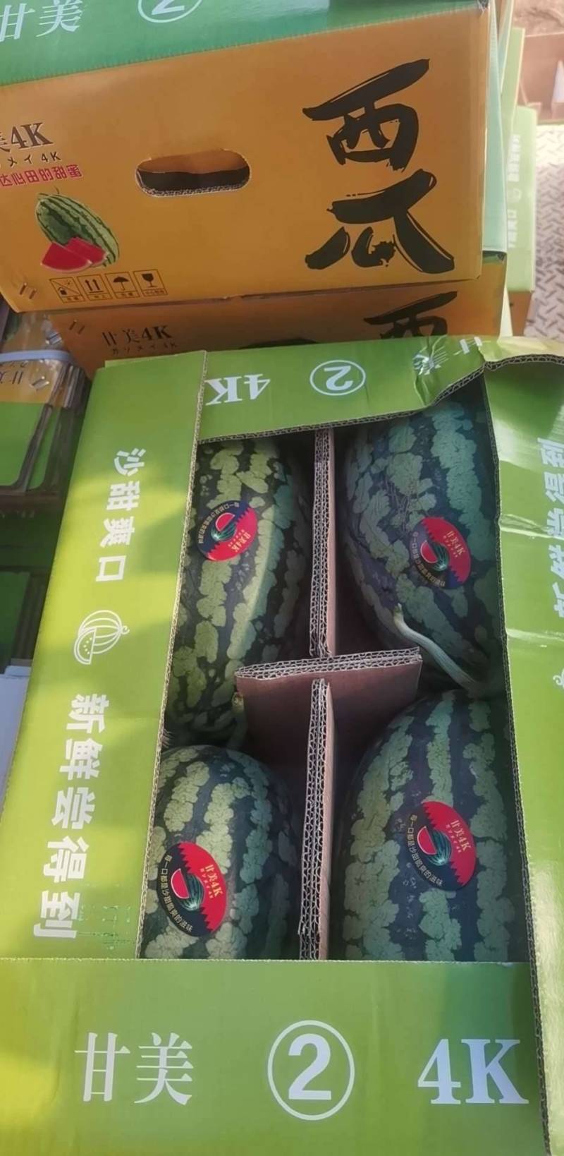 江苏盐城4K产区，甘美4K大量上市，打包装车一条龙服务