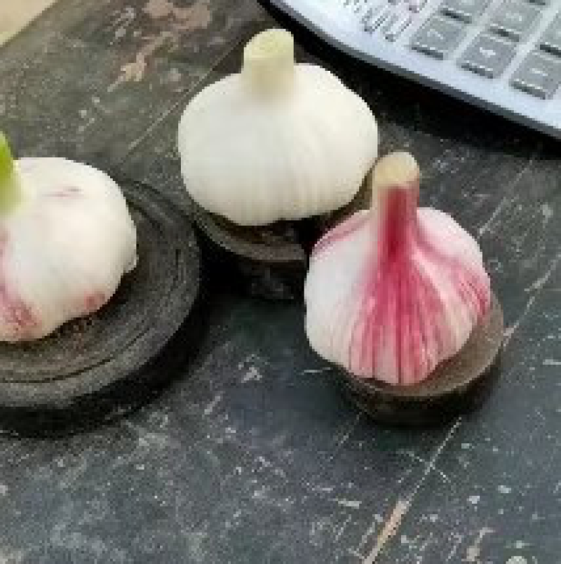 徐州紫皮鲜蒜大量供应中，适合各中小市场，电商，超市，储存