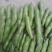 汉中蚕豆质量好，豆角大，出米高，欢迊选购
