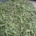 汉中蚕豆质量好，豆角大，出米高，欢迊选购