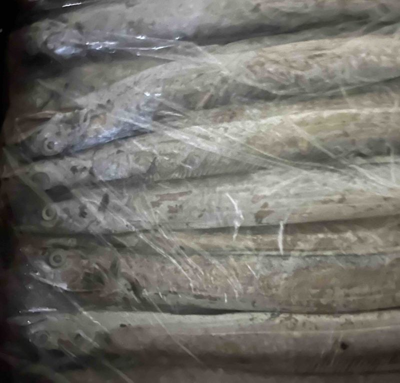 单条二两8的精品带鱼