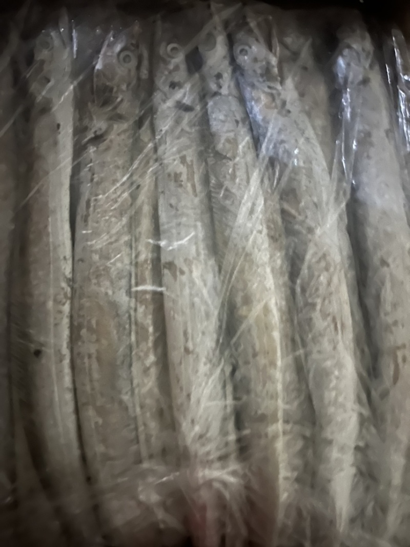 单条二两8的精品带鱼