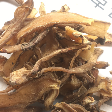 黄精中药材
