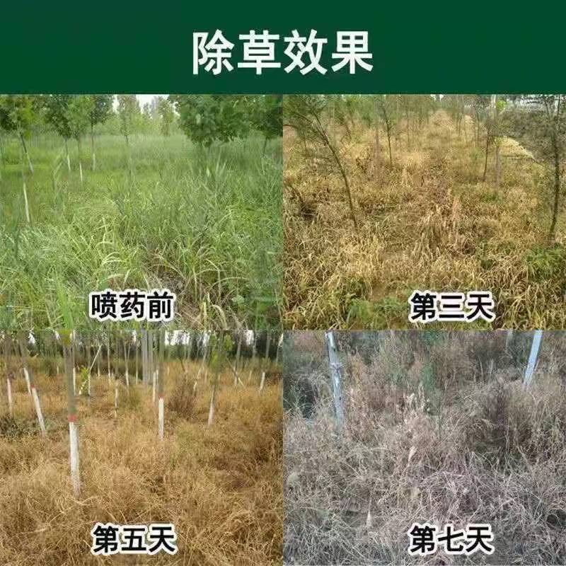 10斤装正品草铵膦除草剂批发果园不伤果树杂草一扫光