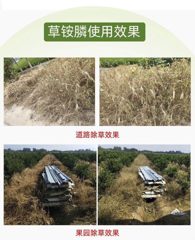 10斤装正品草铵膦除草剂批发果园不伤果树杂草一扫光