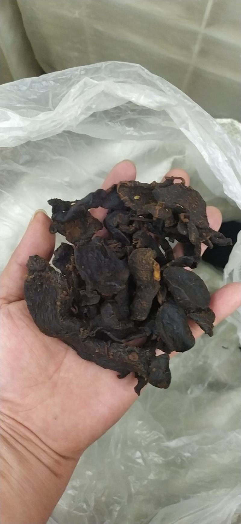 制黄精