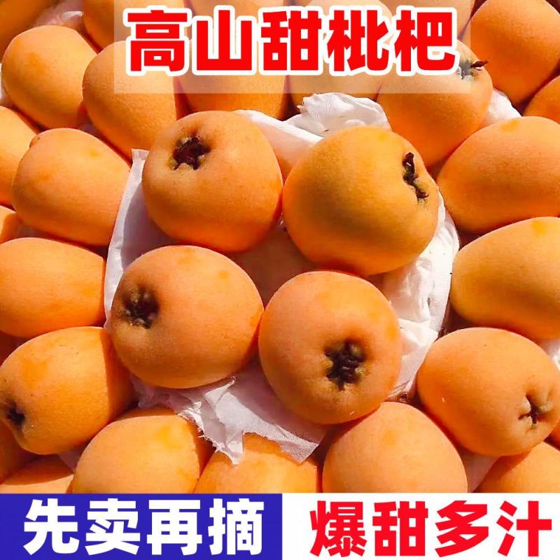 解放钟大枇杷，大果形，9斤左右泡沫箱装装。