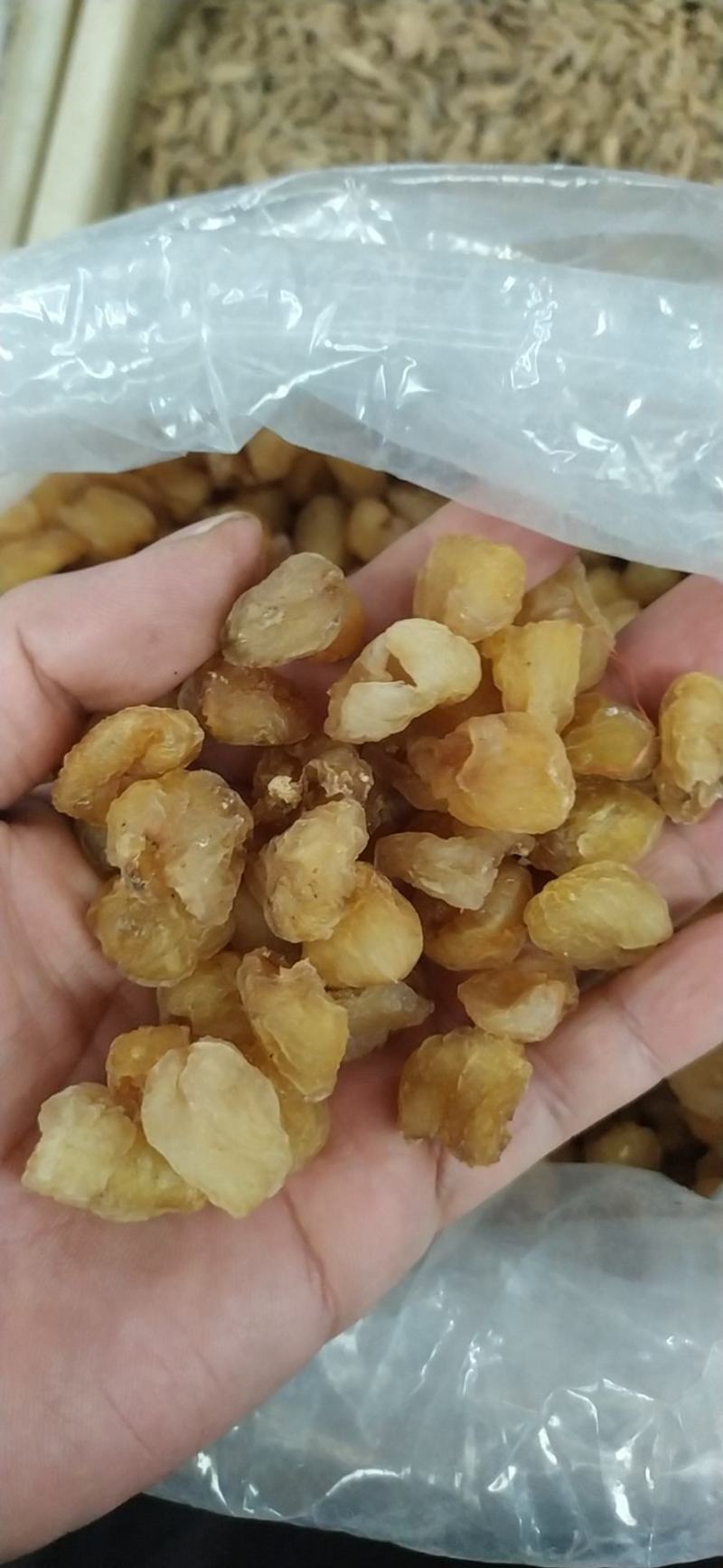 桂圆肉