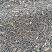 江汉平原优质油菜籽