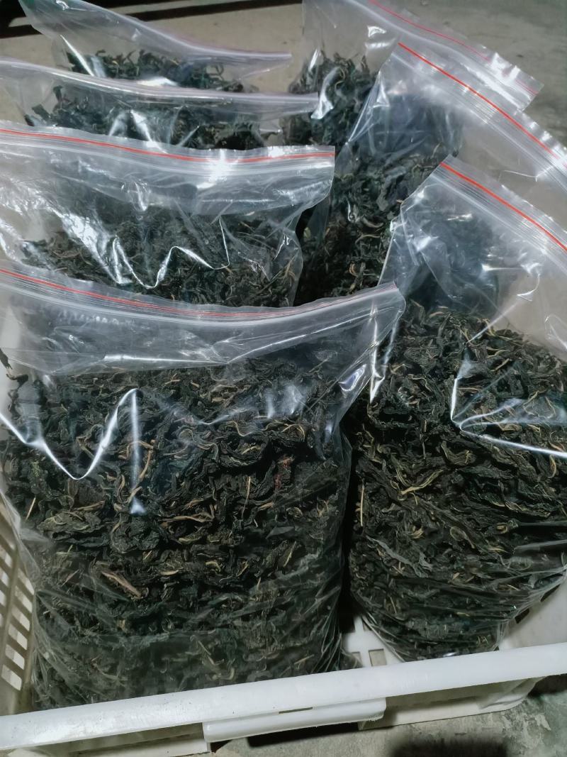河南中原泌阳县盘古山盘古圣地特色野菜黑芝麻芝麻叶