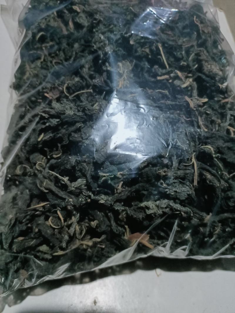 河南中原泌阳县盘古山盘古圣地特色野菜黑芝麻芝麻叶