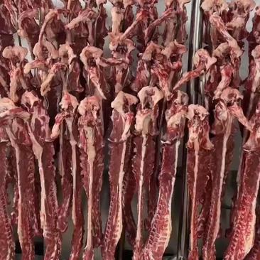 羔羊羊蝎子14.5一斤对接商超批发市场