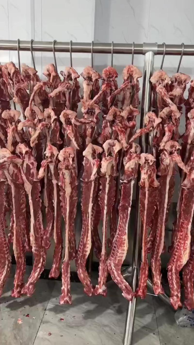 羔羊羊蝎子14.5一斤对接商超批发市场