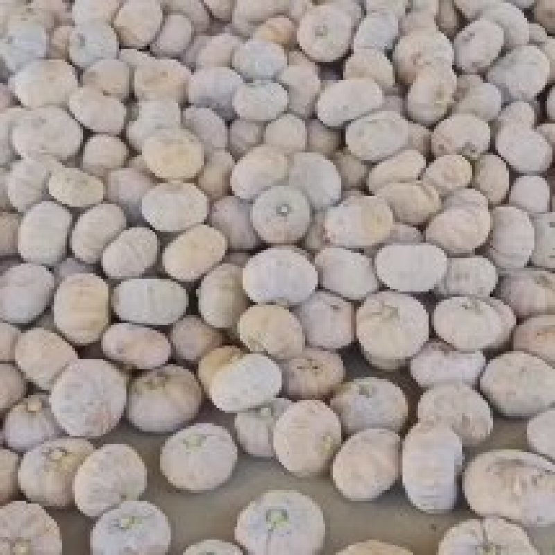 湖北万亩南瓜基地出售(各种南瓜，欢迎新老客户下单