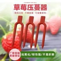 草莓叉塑料叉育苗叉压蔓器植物固定器耐用草莓压蔓生根大棚专
