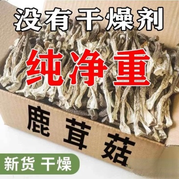 高品质鹿茸菇干货嫩仔不开伞鹿茸菌新货无熏硫散装煲