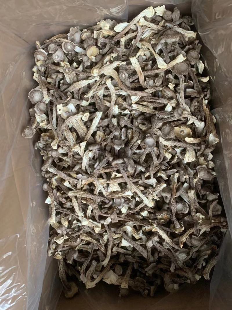 高品质鹿茸菇干货嫩仔不开伞鹿茸菌新货无熏硫散装煲