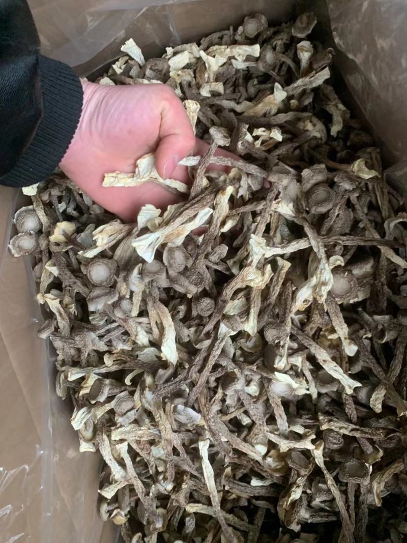 高品质鹿茸菇干货嫩仔不开伞鹿茸菌新货无熏硫散装煲