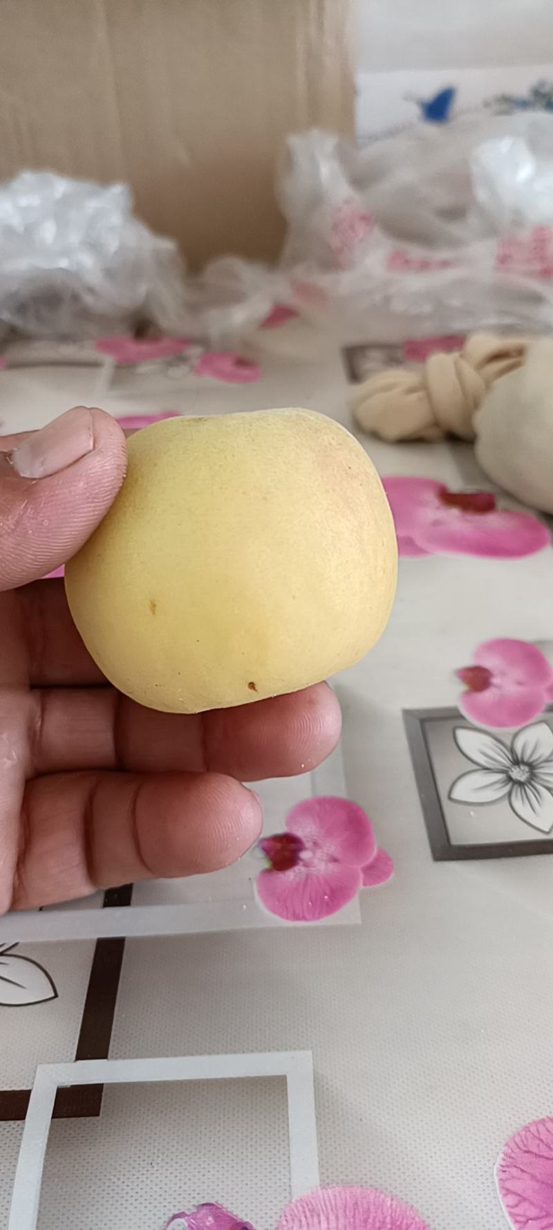 精品香白杏遵化产地直供