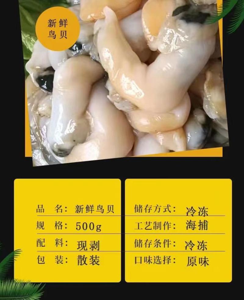 【顺丰包邮】新鲜鸟贝肉超大鲜活冷冻水产商用金钩贝刺身海鲜