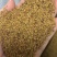 进口紫花苜蓿草籽种四季牧草种子苜蓿草种子养殖牛羊猪鸡鸭鹅