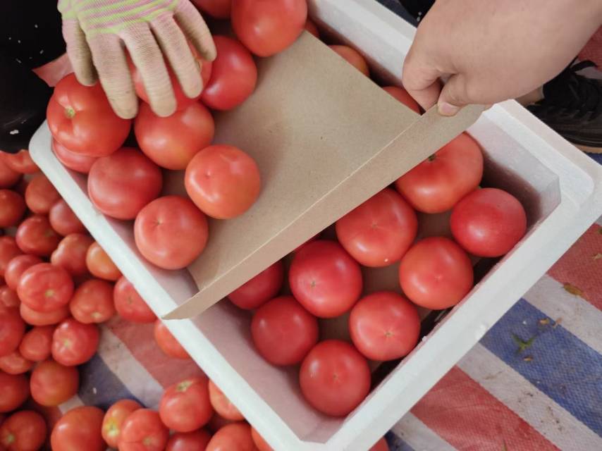 普罗旺斯西红柿沙拉成品图