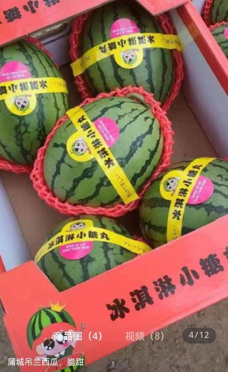 吊蓝西瓜，皮薄瓤红，甜度高，货源充足，物美价廉，欢迎订购