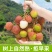 【优选】《妃子笑》荔枝，品种齐全，产地直发，量大从优