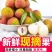 【优选】《妃子笑》荔枝，品种齐全，产地直发，量大从优