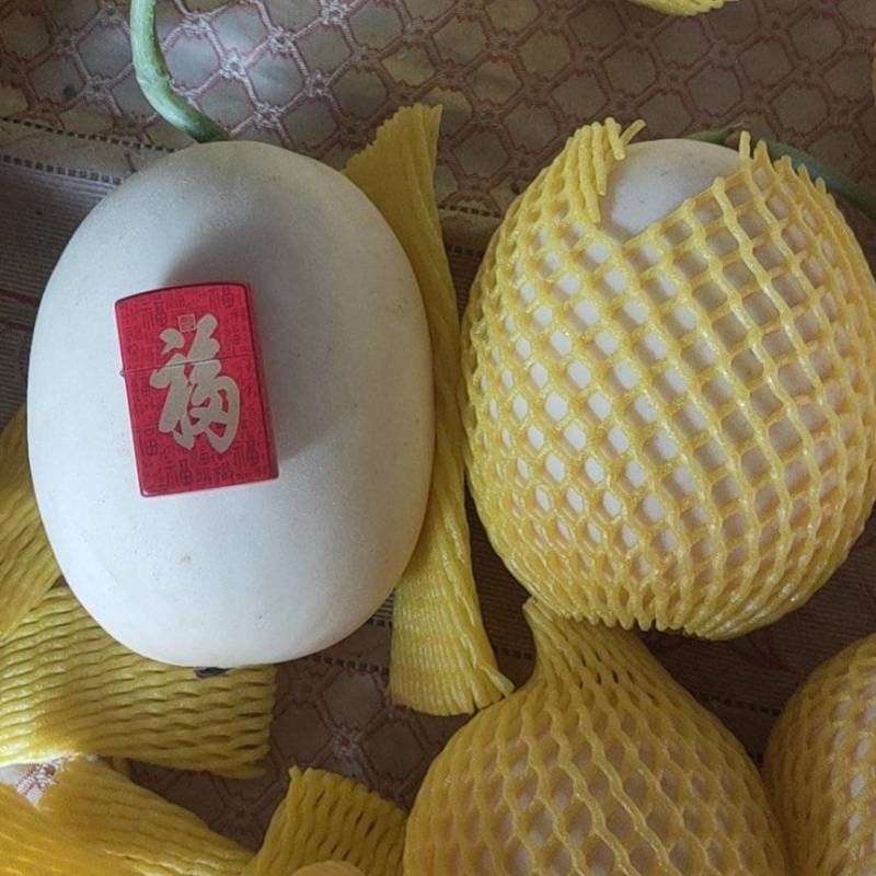 【牛商推荐东方蜜2号红金蜜红玉甜瓜，万亩大棚基地一手货源