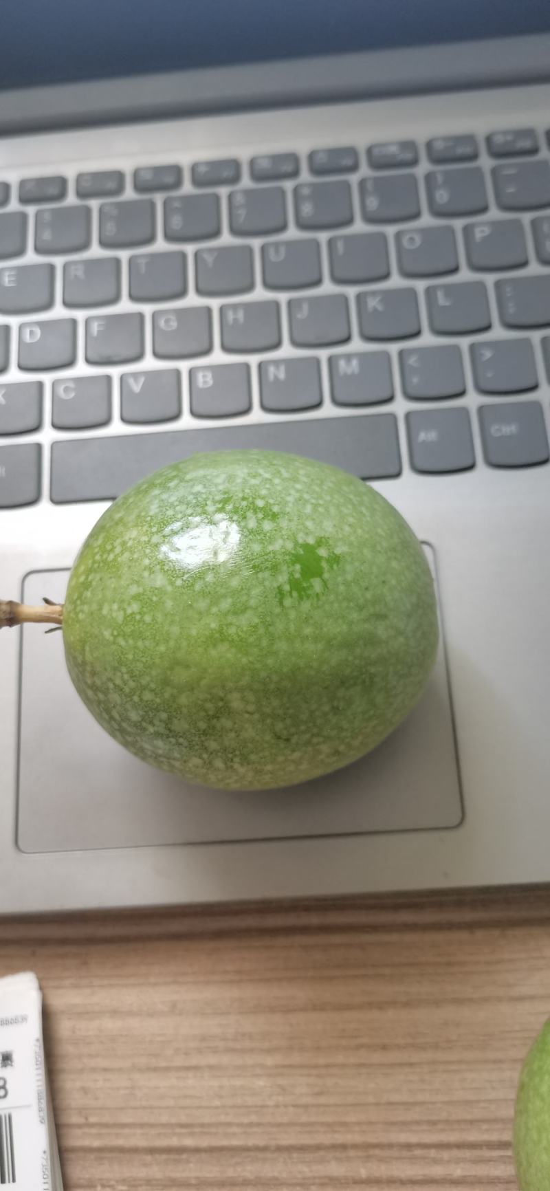海南钦密9号百香果