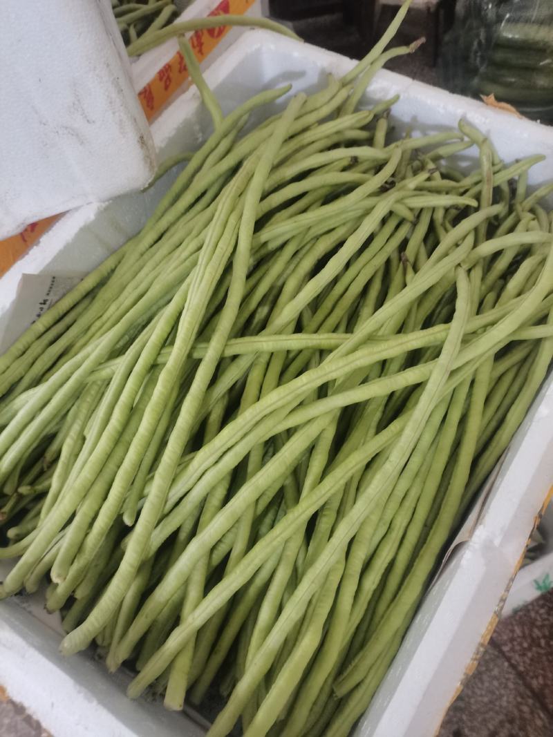 油豆角甜豆角。。。。