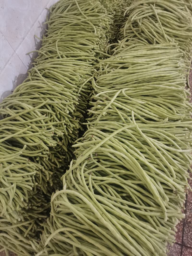 油豆角甜豆角。。。。