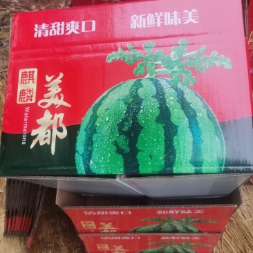 精品美都