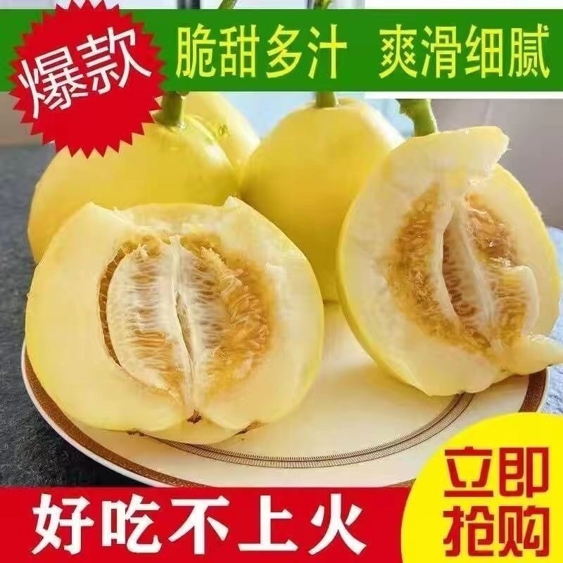 陕西阎良甜瓜，白皮甜瓜，头茬甜瓜，现采现发
