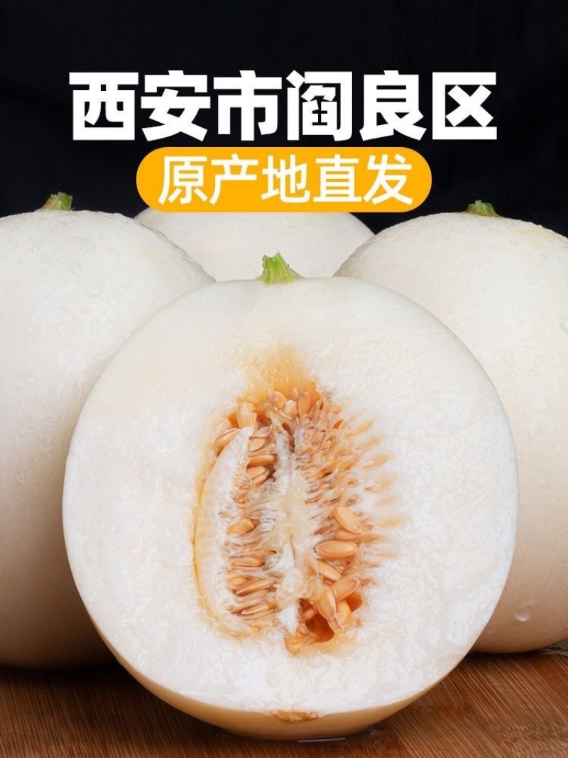 陕西阎良甜瓜，白皮甜瓜，头茬甜瓜，现采现发