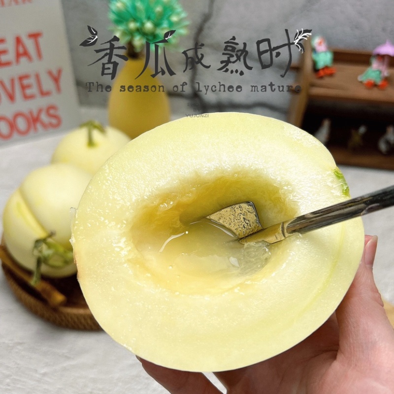 陕西阎良甜瓜，白皮甜瓜，头茬甜瓜，现采现发